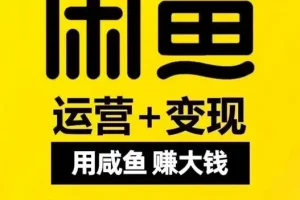 密码保护：闲鱼代发（卖出的30% 的）