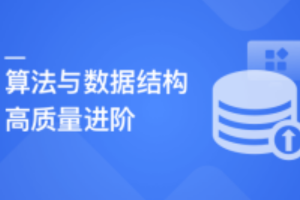 大实战-算法与数据结构高手养成-求职提升特训课