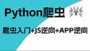 【2024最新版】樵夫Python爬虫课程 从零基础到高级逆向