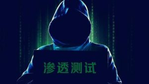 网站黑客与渗透测试 Website Hacking Penetration Testing