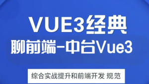 大伟聊前端-互联网大厂企业级中台Vue3综合实战提升和前端开发规范