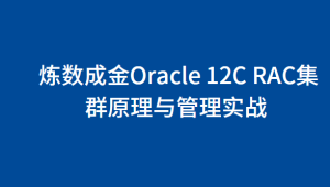 炼数成金Oracle 12C RAC集群原理与管理实战