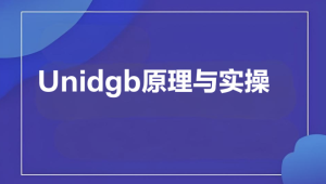 Unidgb原理与实操