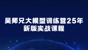 吴师兄大模型训练营25年新版实战课程
